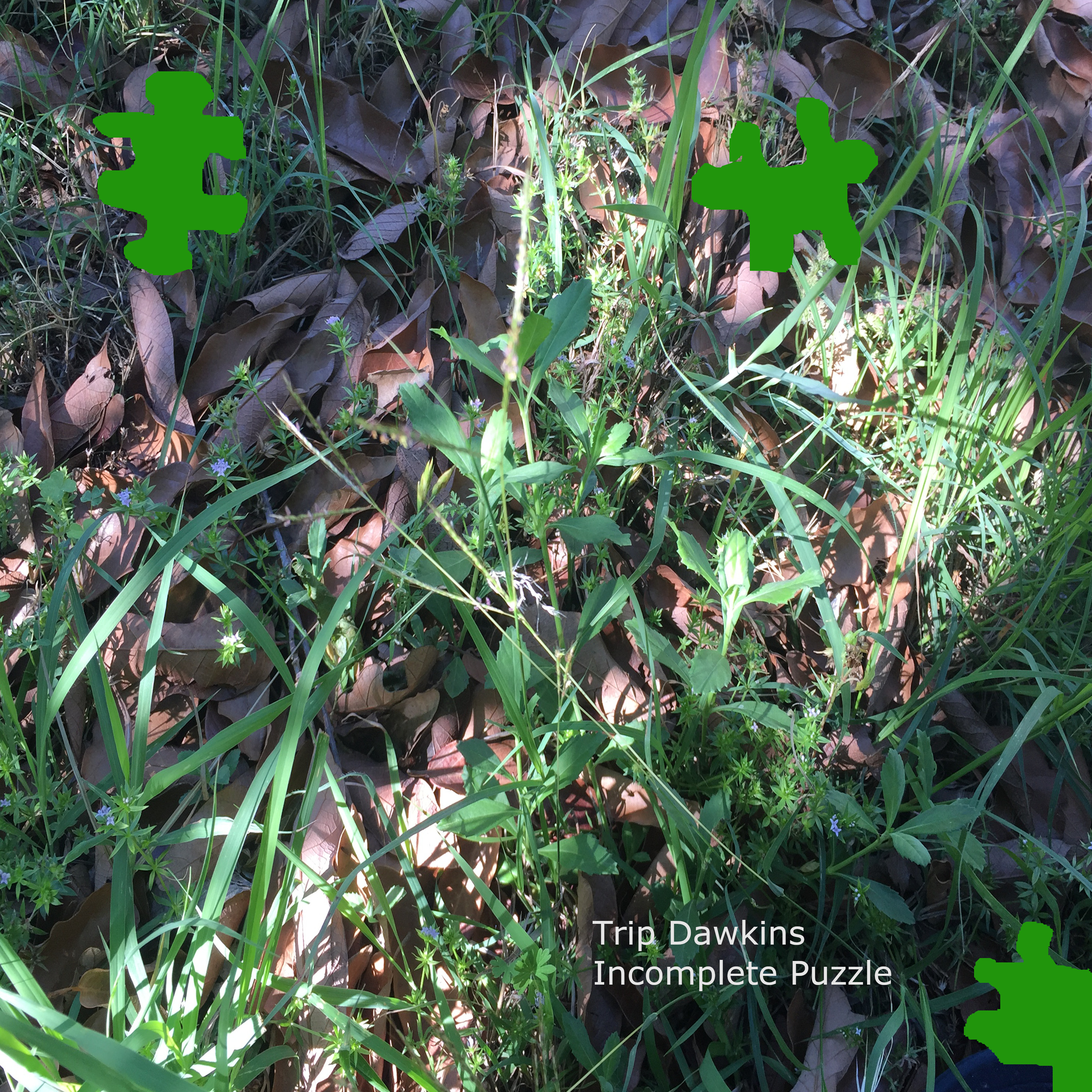 album cover of Incomplete Puzzle by Trip Dawkins